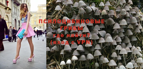 a pvp Аркадак